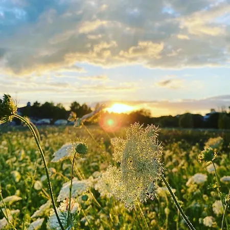 Luxus-ferien-haus La Mirada * Göhren-Lebbin