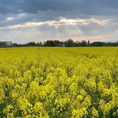 Luxus-ferien-haus La Mirada Casa vacanze *