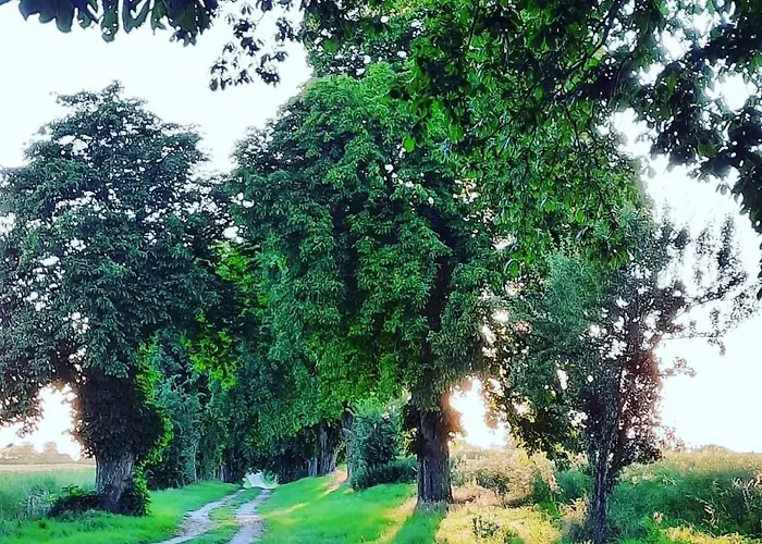 Luxus-ferien-haus La Mirada